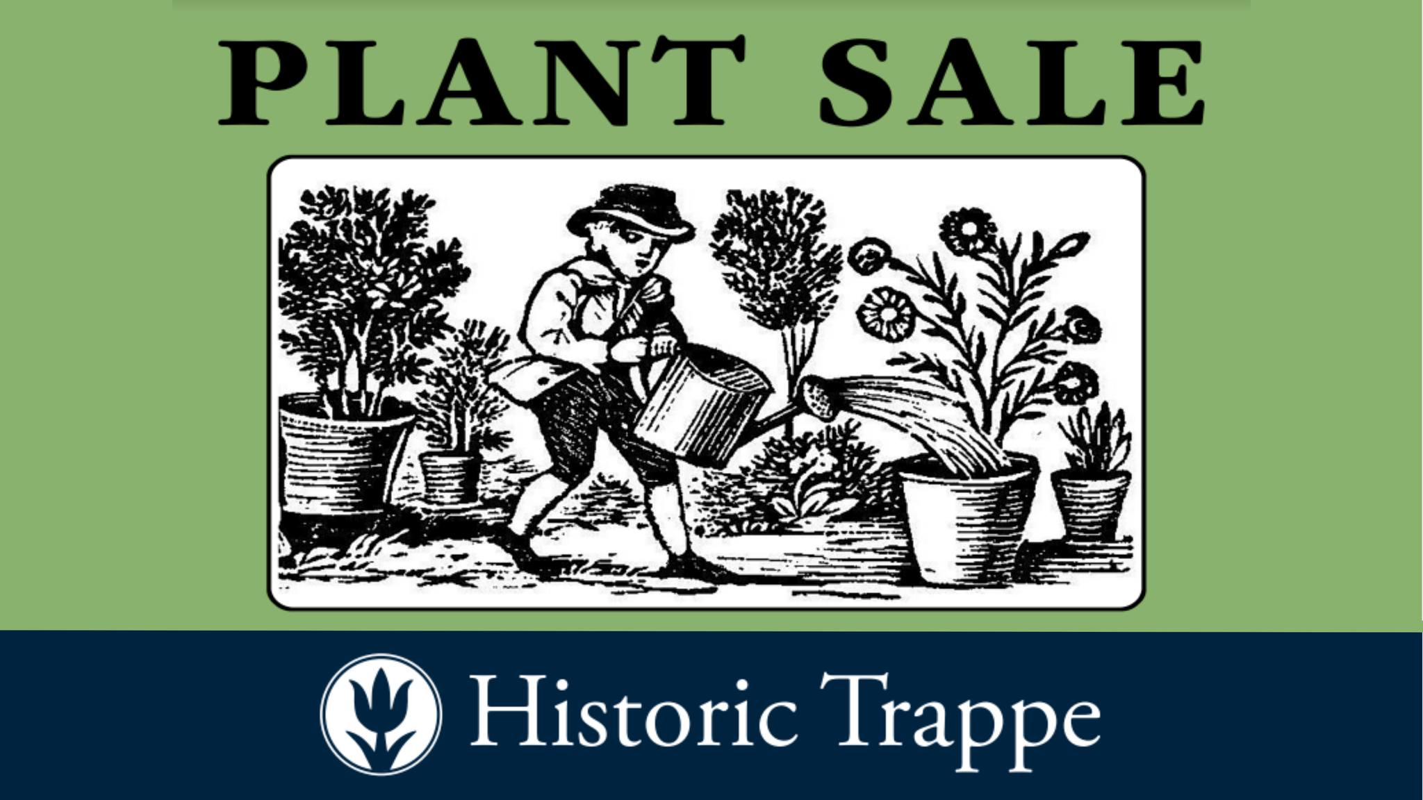 Plant Sale